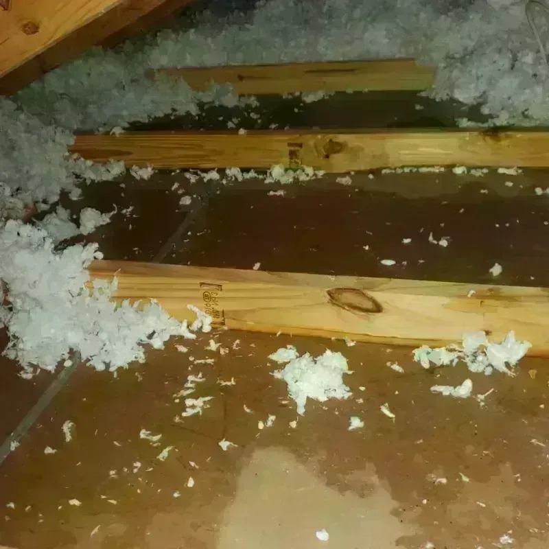 Attic Water Damage in Baxter, TN